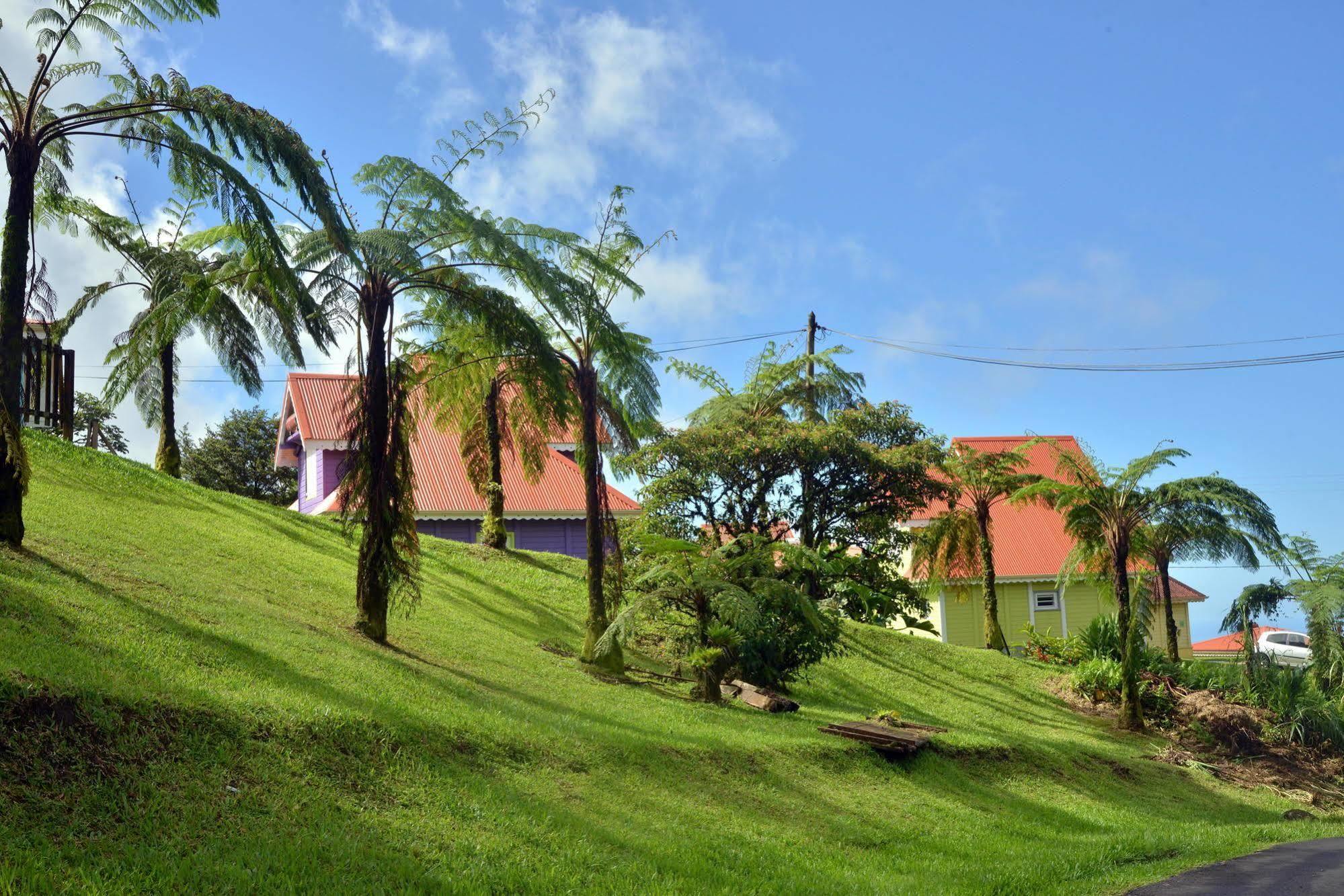 Auberge De La Montagne Pelee Hotel Saint-Pierre Luaran gambar